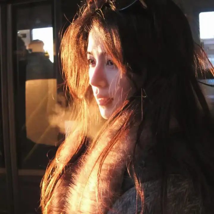 枪与玫瑰:少帅的逃爱游戏